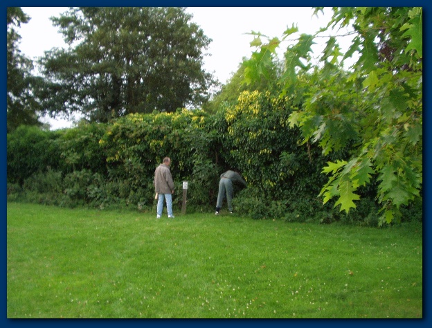 600x449 pixels (157K)